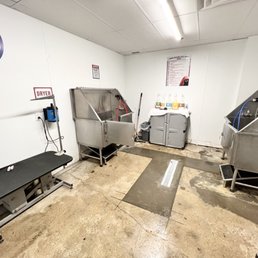 Dog Wash Stations
