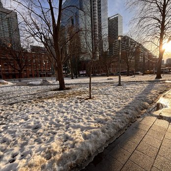 Clarence Square Park - Dog Parks Near Me - Toronto, Ontario