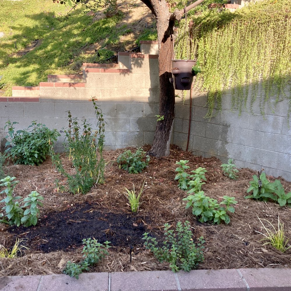 Fifth Element Landscape - a small garden with a birdhouse - Gardeners Near Me - Pasadena, California Fifth Element Landscape - a small garden with a birdhouse - Gardeners Near Me - Pasadena, California