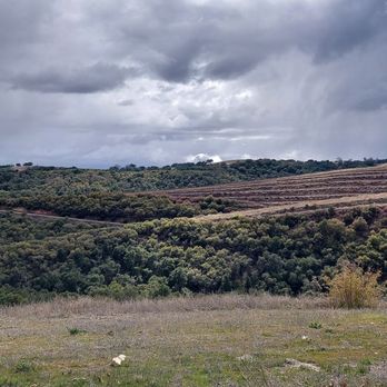 Calcareous Vineyard - Wine Tasting Room Near Me - Paso Robles, California