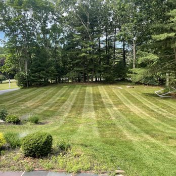 Mullet Maintenance - a freshly mowed lawn - Lawn Services Near Me Mullet Maintenance - a freshly mowed lawn - Lawn Services Near Me