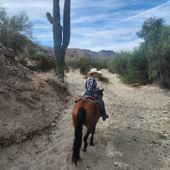 Ponderosa Stables - Horseback Riding Near Me - Phoenix, Arizona Ponderosa Stables - Horseback Riding Near Me - Phoenix, Arizona