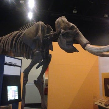 Dinosaur Park-Museum George S Eccles - Mammoth - Parks Near Me - Ogden, Utah