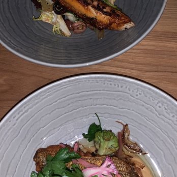 Bluebird Kitchen - Octopus salad and sea bass - Cocktail Bars Near Me - Bellmore, New York Bluebird Kitchen - Octopus salad and sea bass - Cocktail Bars Near Me - Bellmore, New York