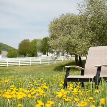 Florida Backyard - Furniture Stores Near Me - Jacksonville, Florida