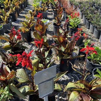 El Rancho Nursery - Nurseries & Gardening Near Me - Vacaville, California