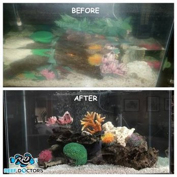 Reef Doctors - Aquarium Services Near Me