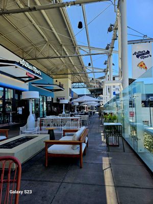 Shake Shack Bay Street by null