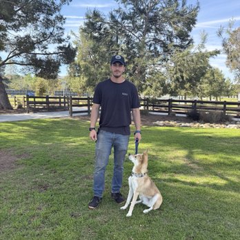 Bar K9 Dog Training - Pet Training Near Me Bar K9 Dog Training - Pet Training Near Me