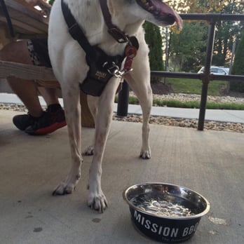 Mission BBQ - They treat pets just as well as human customers 3 - Barbeque Near Me - Annapolis, Maryland Mission BBQ - They treat pets just as well as human customers 3 - Barbeque Near Me - Annapolis, Maryland