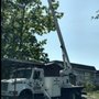 Photo of Allstate Tree & Shrub Corp