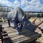 The Blue Rhino