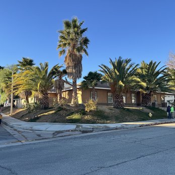 UFO Tree Trimming - 20241206 - Tree Services Near Me UFO Tree Trimming - 20241206 - Tree Services Near Me