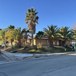 UFO Tree Trimming - 20241206