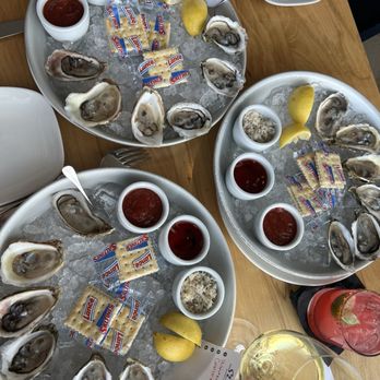Silo Terrace Oyster Bar - East coast oysters - Cocktail Bars Near Me - San Antonio, Texas