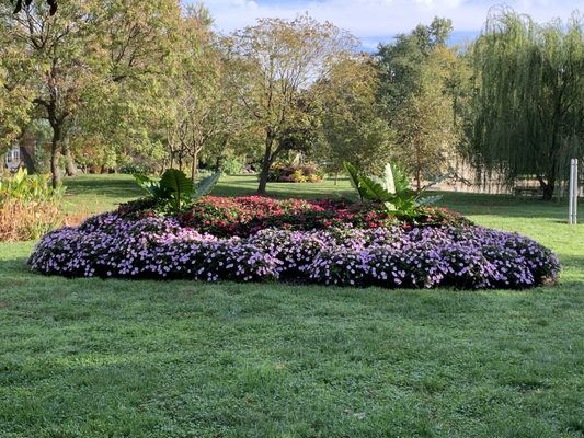 Tower Grove Park by null