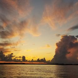 Fins and Family Fishing