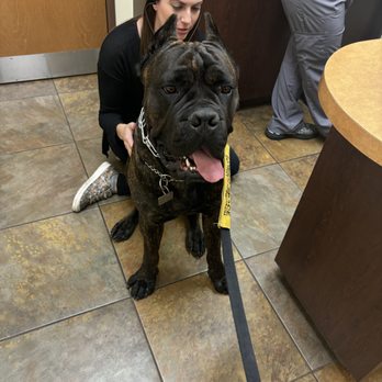 Priority Pet Hospital - Veterinarians Near Me - Gilbert, Arizona