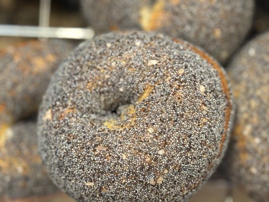 Hey Bagel by null