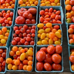 Archwood Green Barns Farmers' Market - Beautiful colors in the late summer