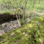 Photo of Glen Helen Nature Preserve