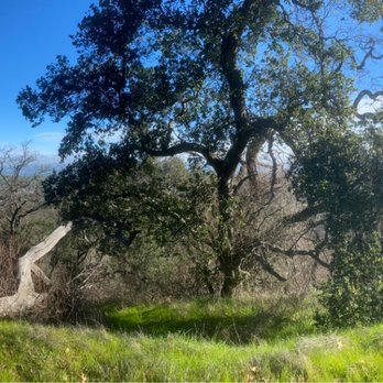 Almaden Quicksilver County Park - Parks Near Me - San Jose, California Almaden Quicksilver County Park - Parks Near Me - San Jose, California