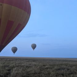 Lebor Tours