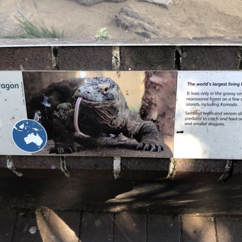 Taronga Zoo - Zoos Near Me - Mosman, NSW