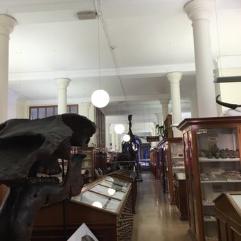 Sedgwick Museum Of Earth Sciences - Museums Near Me - Cambridge, CAM Sedgwick Museum Of Earth Sciences - Museums Near Me - Cambridge, CAM