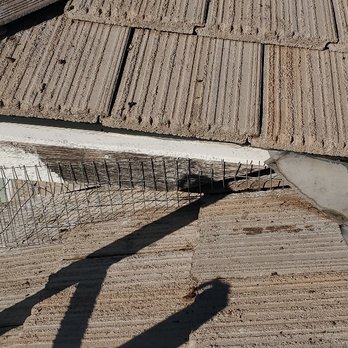 Pest Control Solutions - After. - Pest Control Near Me - Henderson, Nevada Pest Control Solutions - After. - Pest Control Near Me - Henderson, Nevada