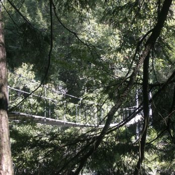 Camp McDowell - Swinging Bridge! - Community Service/Non-Profit Near Me - Nauvoo, Alabama