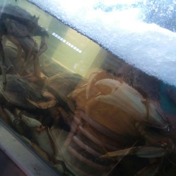 Hurricane Ron’s - Crabs - Seafood Near Me - Astoria, Oregon Hurricane Ron’s - Crabs - Seafood Near Me - Astoria, Oregon