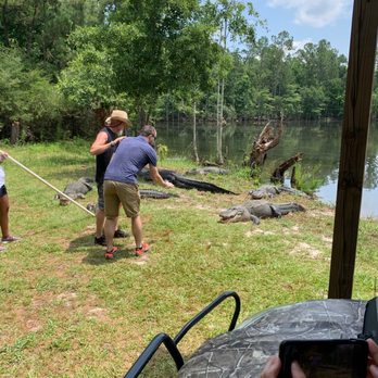 Orange Hill Gator Farm - We got to feed them. - Tours Near Me - Chipley, Florida Orange Hill Gator Farm - We got to feed them. - Tours Near Me - Chipley, Florida