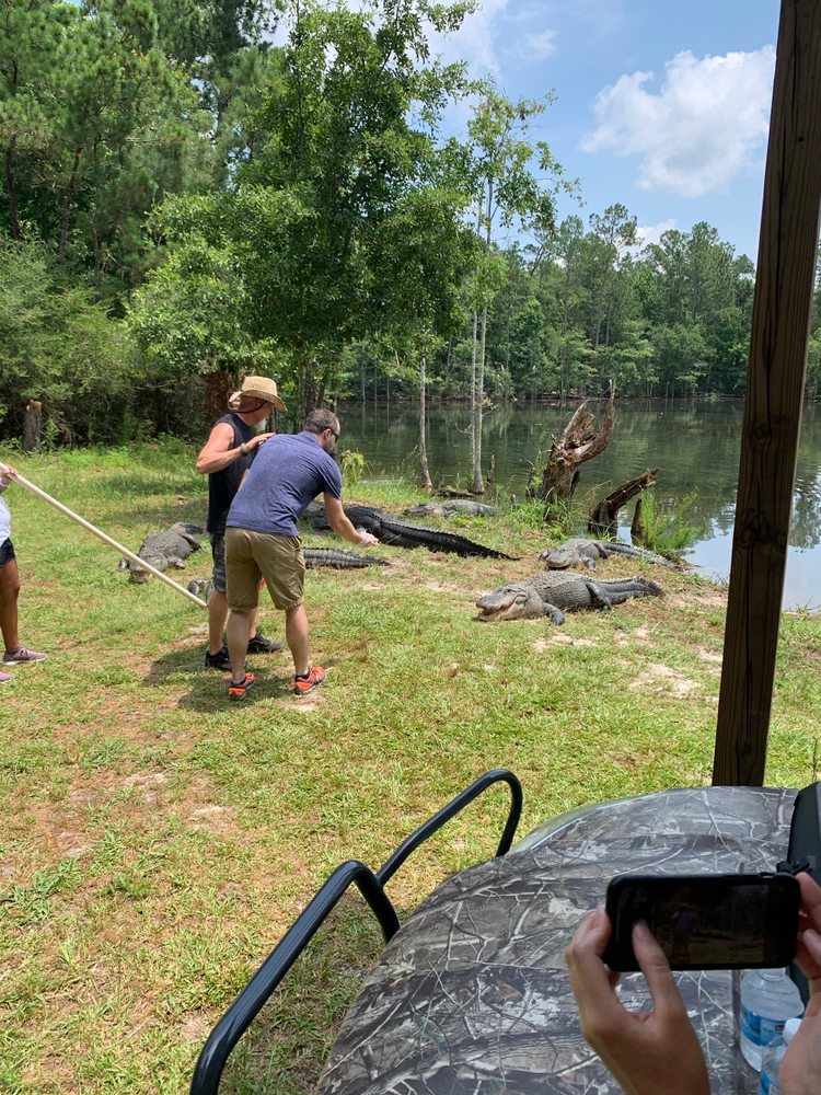 ORANGE HILL GATOR FARM Updated June 2024 3172 Orange Hill Rd