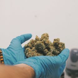 Organic Solutions of the Desert - Desert Heat - Blue Dream