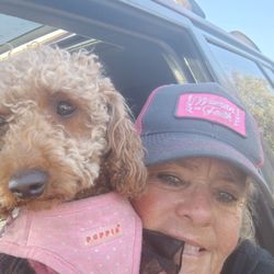 The Parable Christian Store - Precious Beautiful Parable Poodle Ray Ann Love going in and visiting precious beautiful Parable Sarah