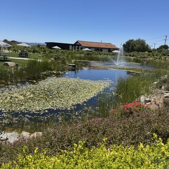 Domenico’s Italian Chop House - Pond on the way from the restaurant to the parking lot or tasting room - Italian Near Me - Temecula, California