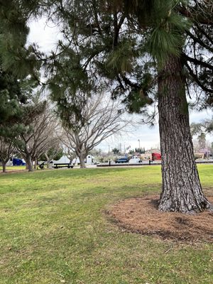 Civic Center Park by null