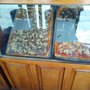 Photo of Pizza Metro