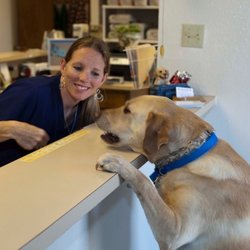 Crossroads Animal Clinic