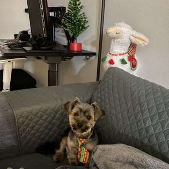 Perfect Pet Salon - Pet Groomers Near Me - Concord, California Perfect Pet Salon - Pet Groomers Near Me - Concord, California