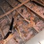 Photo of Trenton Roofing & Siding