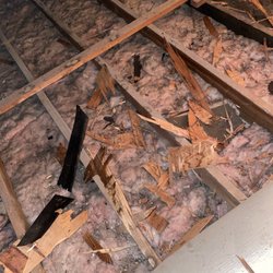Trenton Roofing & Siding