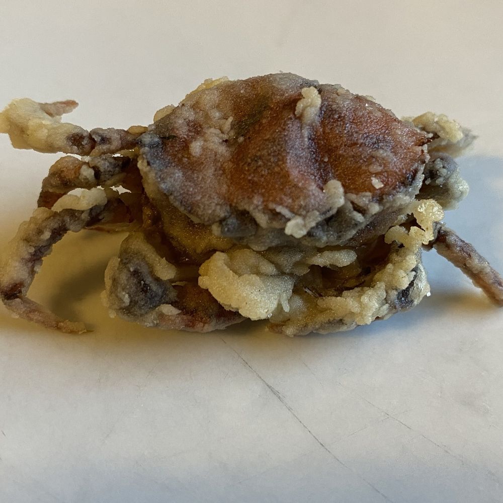 Trattoria Al Passo - Moeche small crabs native to Venice area & seasanal - Italian Near Me - Venezia, VE