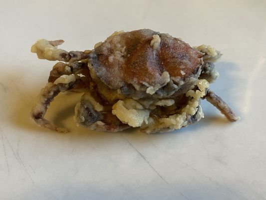 Trattoria Al Passo by null