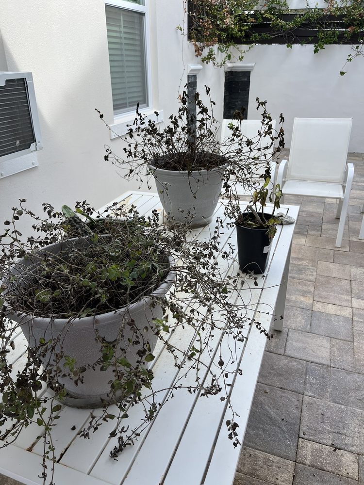 Slide of Hammerhead Roof and Structure Softwash