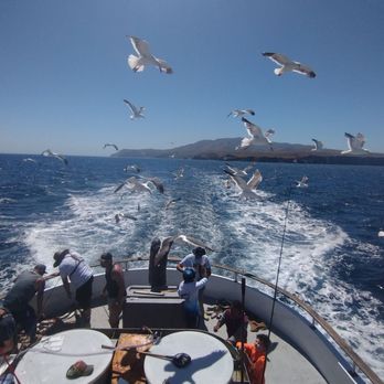 CHANNEL ISLANDS SPORTFISHING CENTER - Updated March 2025 - 353 Photos