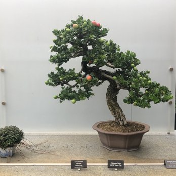 Chicago Botanic Garden - Botanical Gardens Near Me - Glencoe, Illinois