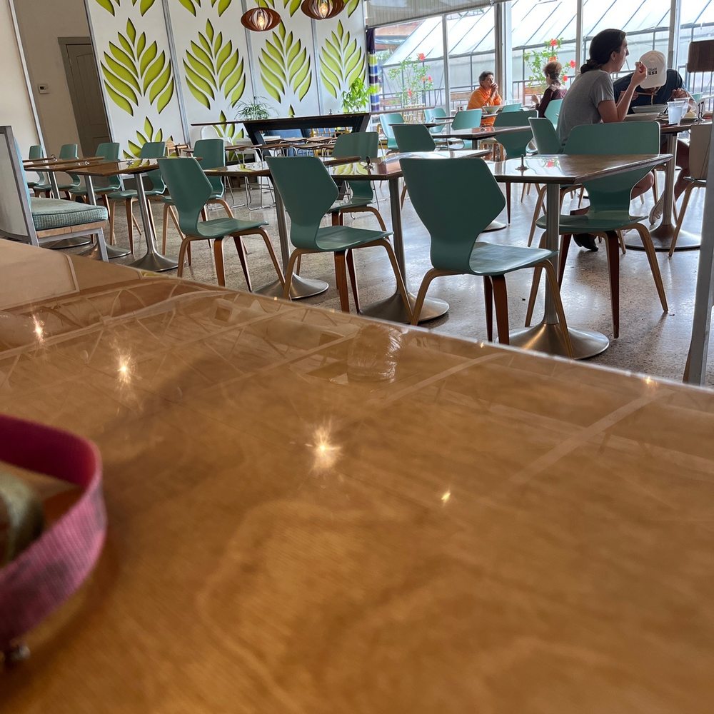 Hello Dumpling - Beautiful & cozy restaurant! Can't wait to get my food! - Noodles Near Me - Dallas, Texas Hello Dumpling - Beautiful & cozy restaurant! Can't wait to get my food! - Noodles Near Me - Dallas, Texas