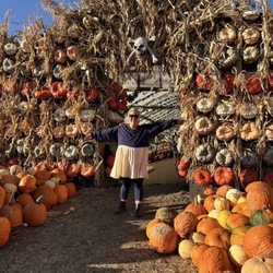 Kuwahara Farms - Pumpkin patch wall